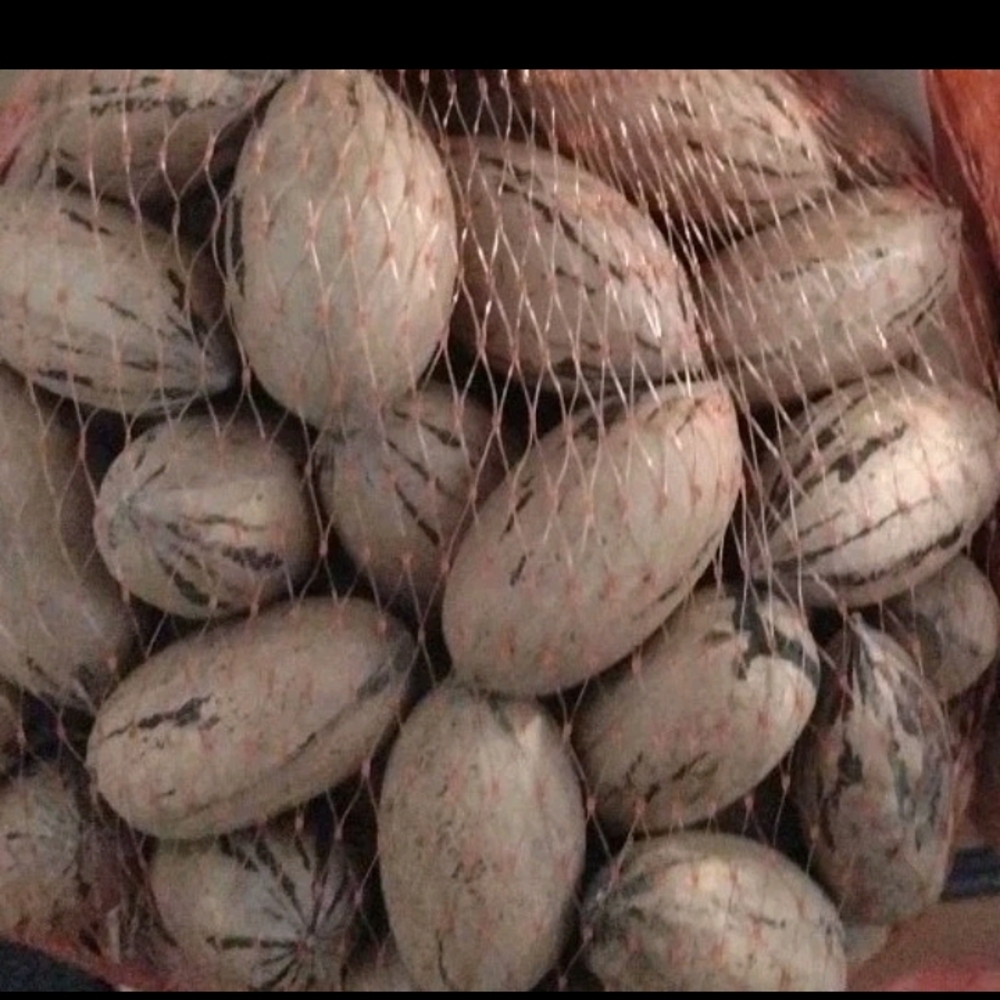 8 Lbs Organic Pecans In The Shell NC Grown Medium Size All Natural
